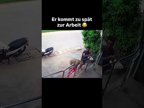 Youtube: Das ist zu gut 🤣 #memes #funny #viral #foryou #humor #comedy #goviral #shorts #fyp #viralvideo #fun