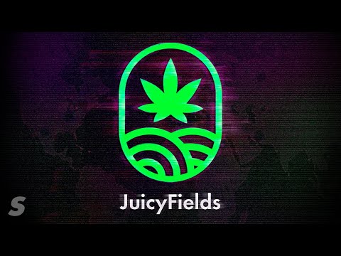 Youtube: Der große Cannabis-Betrug
