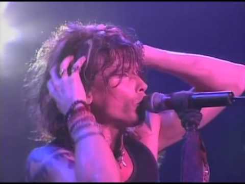 Youtube: Aerosmith - I Don't Want to Miss A Thing (Live in Japan)