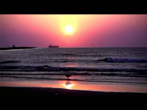 Youtube: Fliptrix - See The Sun (VIDEO) (Prod. Medison)