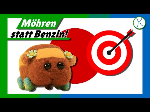 Youtube: Der neueste Trend in Japan sind ... MEERSCHWEINAUTOS?! Pui Pui Molcar!