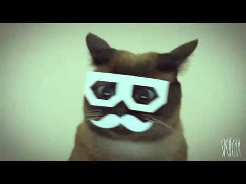 Youtube: stereo skifcha ~ dubstep cat [1 hour loop]