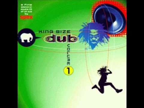 Youtube: Dub Suite - Concious Dub (The Mix) - Molara Meets Zion Train