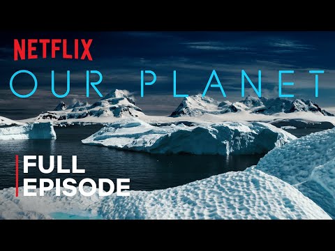Youtube: Our Planet | Frozen Worlds | FULL EPISODE | Netflix