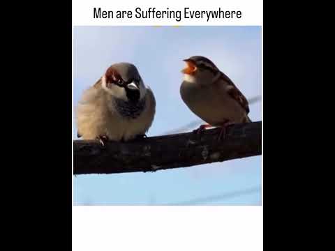 Youtube: mard ka jiwan hota hi kathin hai 🙃