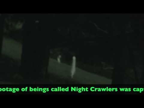 Youtube: Night Crawler Mystery Solved