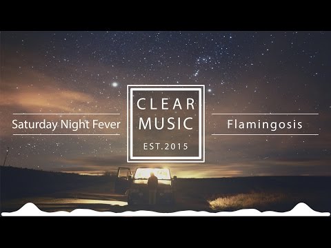 Youtube: Flamingosis - Saturday Night Fever