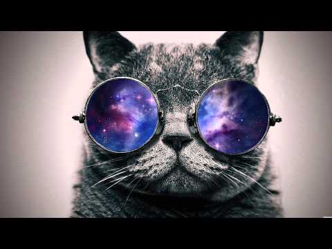 Youtube: Ratchet (Meow Version) - Zeds Dead