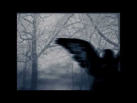 Youtube: Prurient - You Show Great Spirit