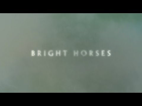 Youtube: Nick Cave and The Bad Seeds - Bright Horses (Official Lyric Video)