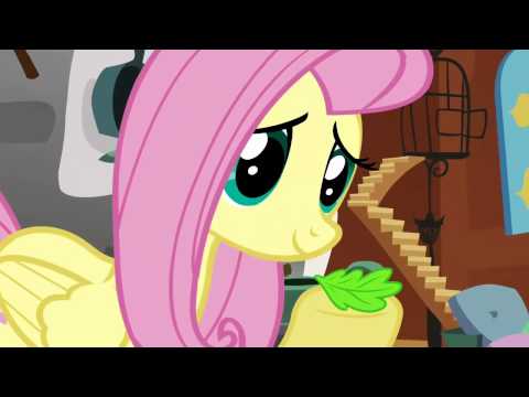 Youtube: fluttershy- angel bitch slap