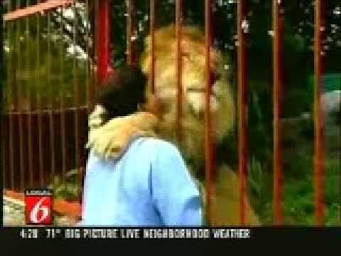 Youtube: Löwe umarmt und küsst seine Wärterin