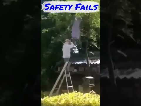 Youtube: BEE Hive or WASP Nest? #shorts #safety #fails