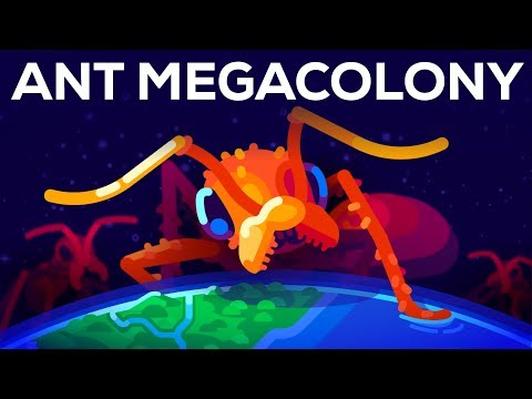 Youtube: The Billion Ant Mega Colony and the Biggest War on Earth