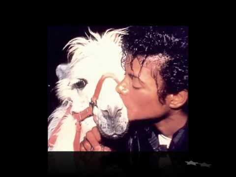 Youtube: Michael Jackson Carousel