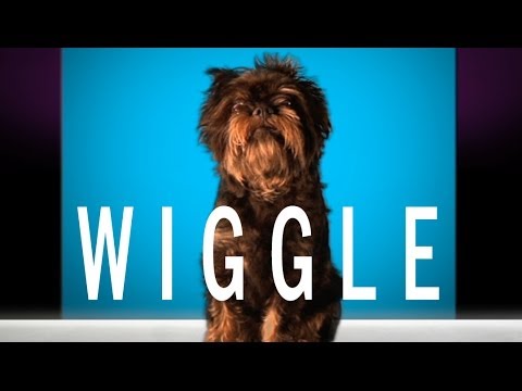 Youtube: Jason Derulo - "Wiggle" feat. Snoop Dogg (Cute Dog Version)