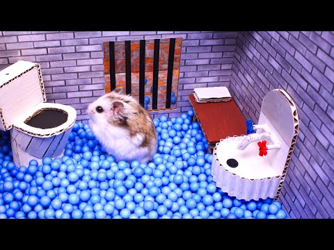Youtube: 🐹Hamster escapes the awesome maze for Pets in real life 🐹 in Hamster stories Part 2