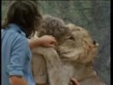 Youtube: Christian the lion - Full ending