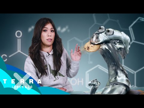 Youtube: Aliens auf Siliziumbasis? | Mai Thi Nguyen-Kim