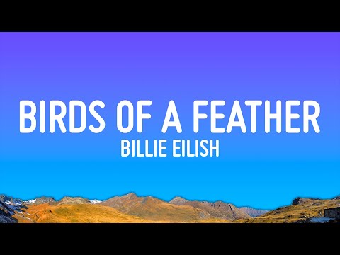 Youtube: Billie Eilish - BIRDS OF A FEATHER (Lyrics)
