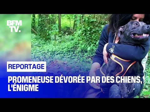 Youtube: Promeneuse dévorée par des chiens, l'énigme