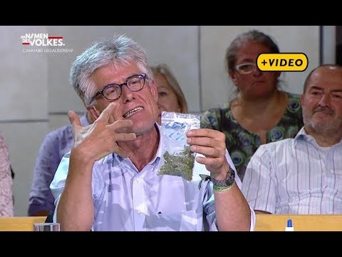 Youtube: Cannabis legalisieren – "Ja oder Nein", Puls4, 09.07.2017
