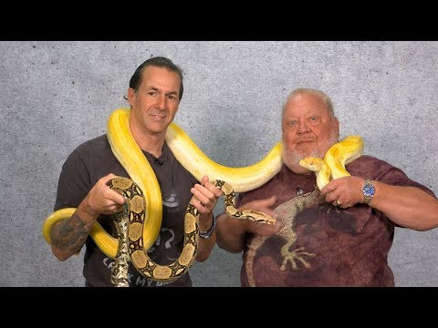 Youtube: Zu Besuch beim Schlangenzüchter | NORBERT ZAJAC | Zoo Zajac
