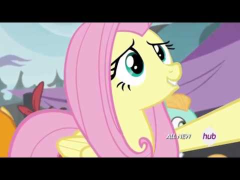 Youtube: Dammit, Fluttershy! Why u do dis?!