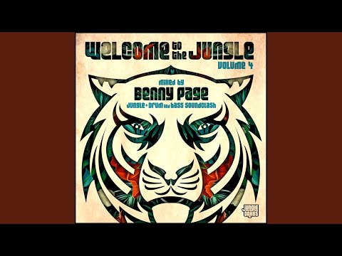 Youtube: Hail Up The Lion (Original Mix)