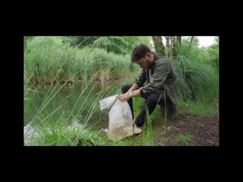 Youtube: MC Bomber befreit ein Tier