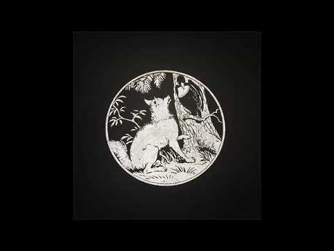 Youtube: Denise Rabe - Aves Are Falling [RABE01]