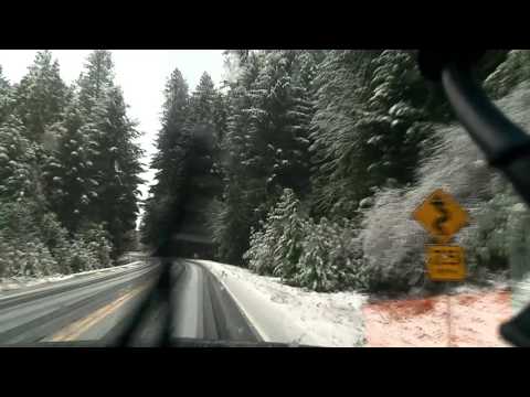 Youtube: Tree hunting in the Plumas national forest