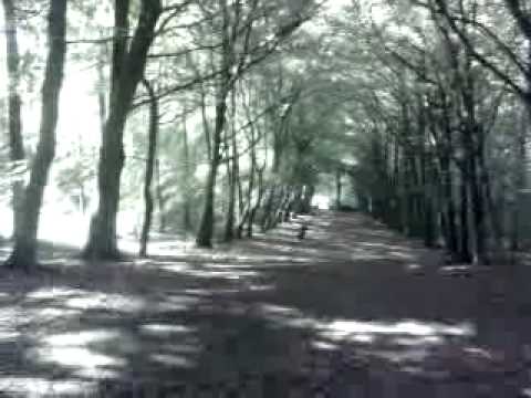 Youtube: Leprechaun at Mullaghreelan Wood