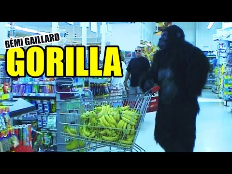 Youtube: GORILLA (REMI GAILLARD) 🍌