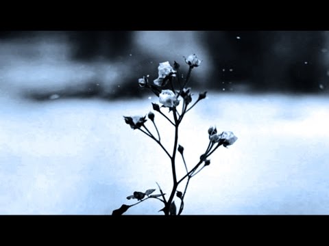 Youtube: Chopin Spring Waltz 1 hours