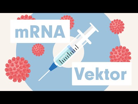 Youtube: SARS-CoV-2: Corona-Impfstoffe im Vergleich (mRNA und Vektor)