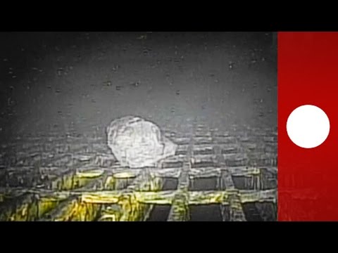 Youtube: 'Shape-changing' robot offers first ever glimpse into melted Fukushima reactor