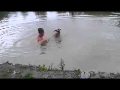 Youtube: Hero dog rescues man / Обманывать друзей нехорошо