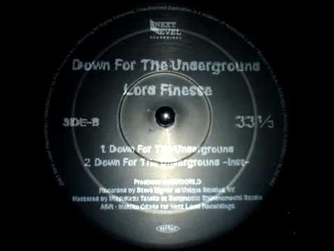 Youtube: Lord Finesse  - Down For The Underground (Buckwild Production 1996)