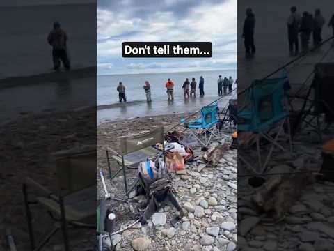 Youtube: Es heißt Angeln, nicht Fangen. #Angeln #Fisch