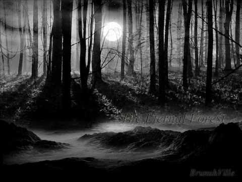 Youtube: Emotional Dark Music - The Eternal Forest