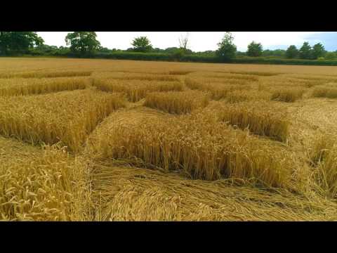 Youtube: Hannington CROP CIRCLE 6.8.2017