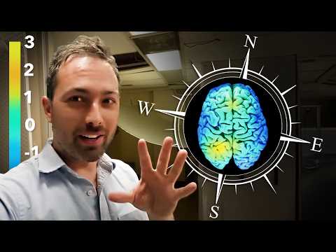 Youtube: Can Humans Sense Magnetic Fields?