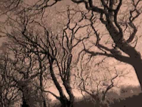 Youtube: Cocteau Twins - Blind Dumb Deaf ( Album Version)