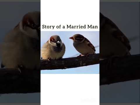 Youtube: 😂😂😂