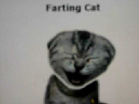 Youtube: Farting Cat