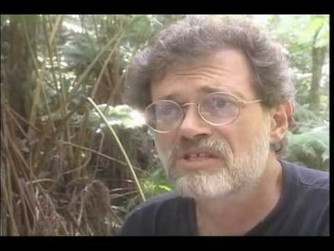 Youtube: Terence McKenna - Eines seiner letzten Interviews (1998)