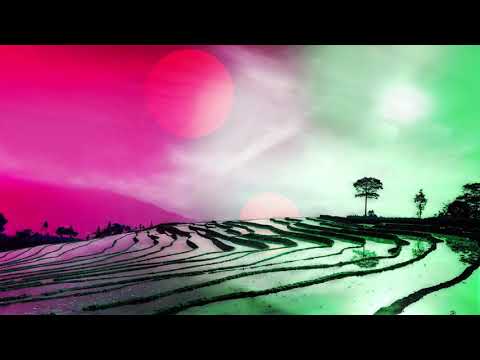 Youtube: Le Wanski - La Dune Aux Épaves