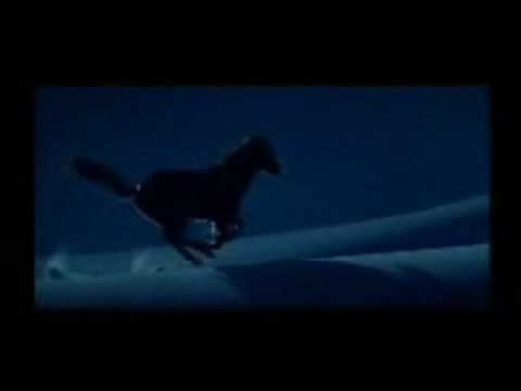 Youtube: *Pilgrim's Voice* - The Horse Whisperer