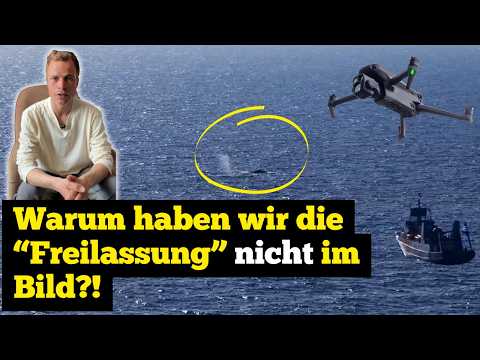 Youtube: Warum haben wir die “Freilassung” nicht im Bild?!